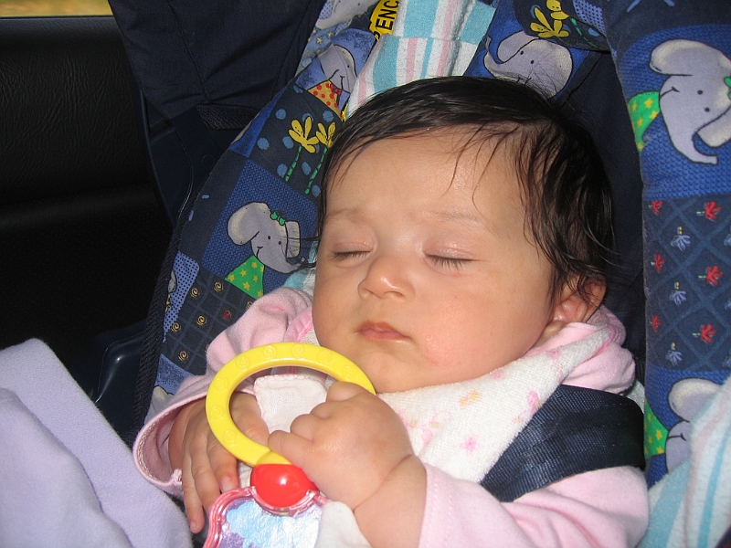 07-04-05-051831.JPG