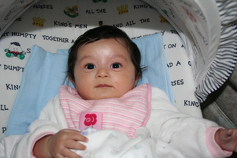 07-03-26-183211.JPG