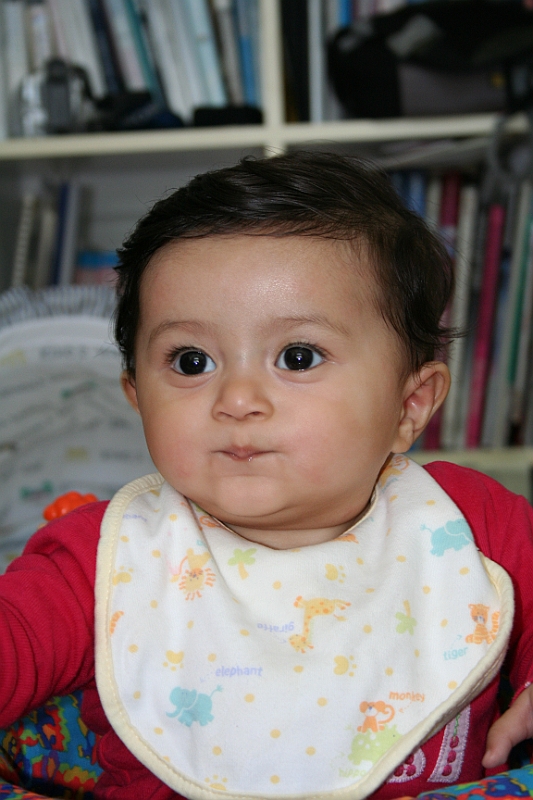 07-08-08-133817.JPG