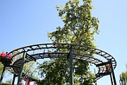 07-05-06-110404