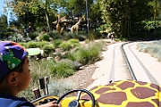 07-05-06-110411