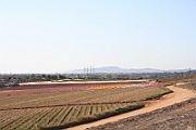 07-05-06-174008