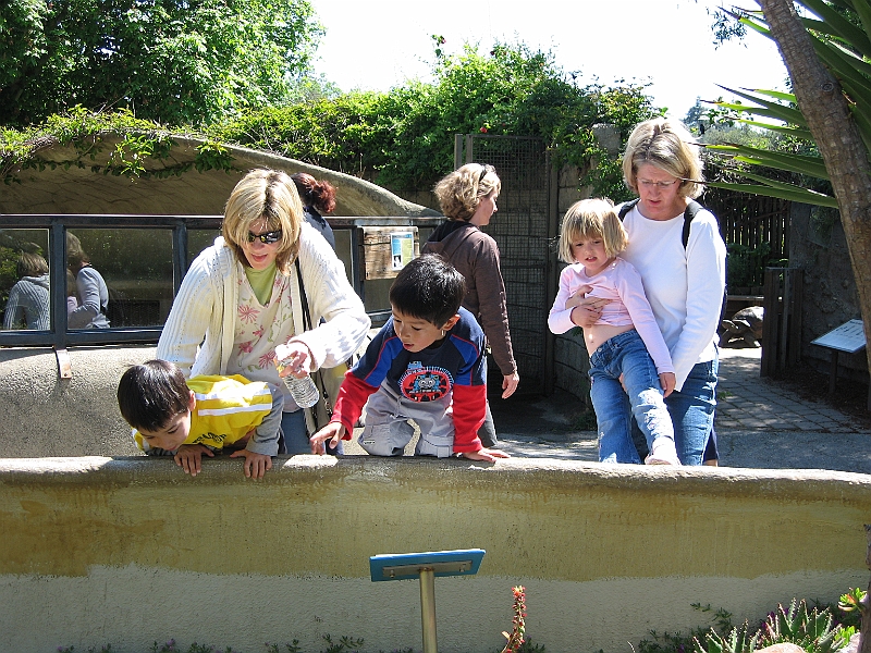 07-04-24-113817.JPG