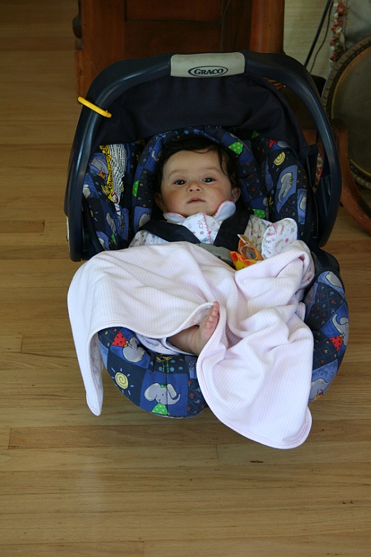 07-05-29-114641.JPG