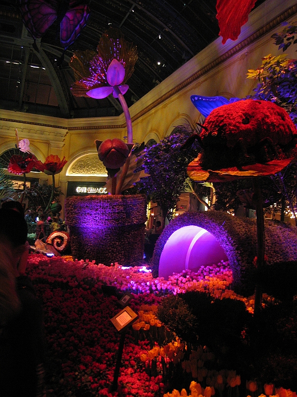 07-04-09-114823.JPG
