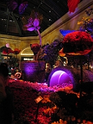 07-04-09-114823