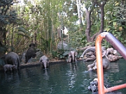 07-04-12-003301
