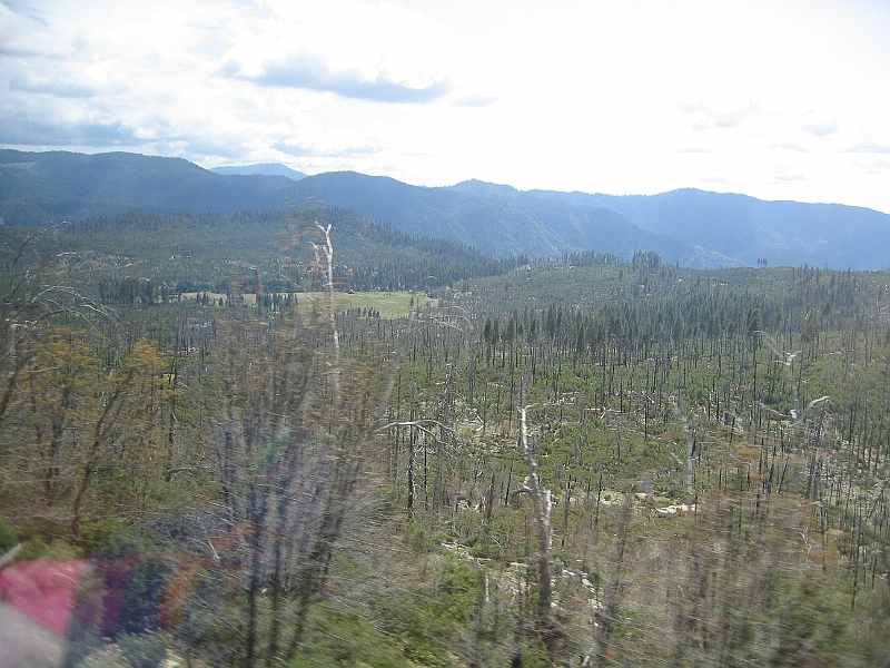 07-04-08-054634.JPG