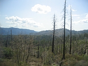 07-04-08-054609