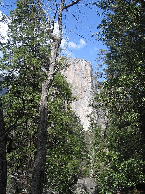 07-04-08-061825.JPG