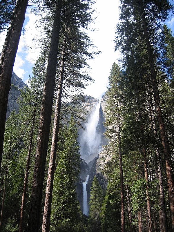 07-04-08-065926.JPG