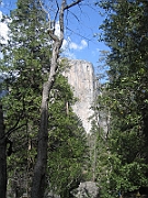 07-04-08-061825