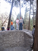 07-04-08-072329