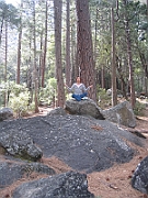07-04-08-073015