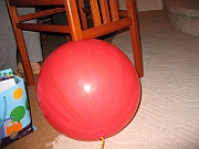 IMG_1769