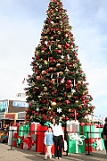 08-12-22-151756