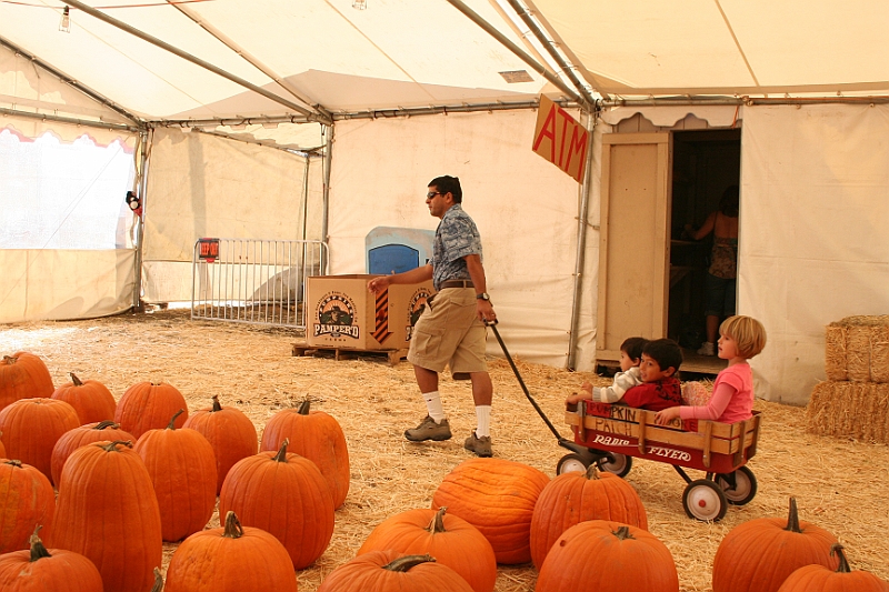 08-10-18-113905.JPG