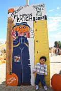 08-10-18-120810