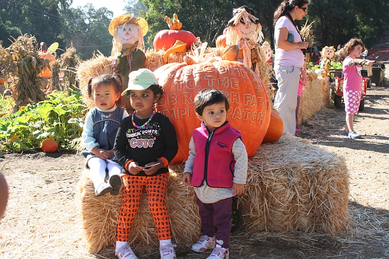 08-10-06-103751.JPG