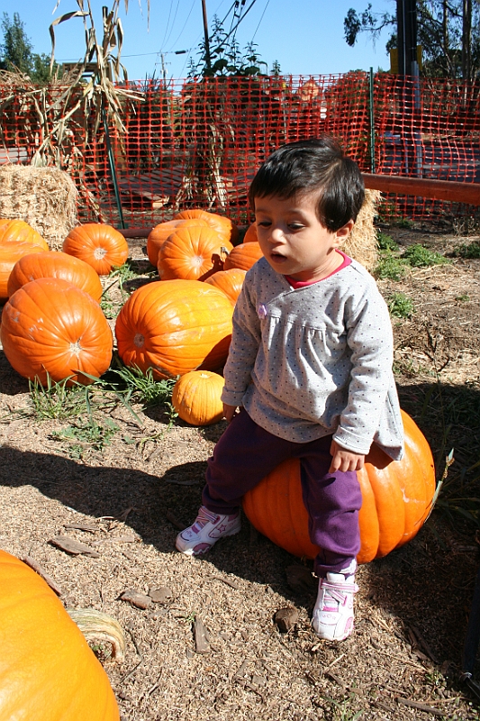 08-10-06-104301.JPG