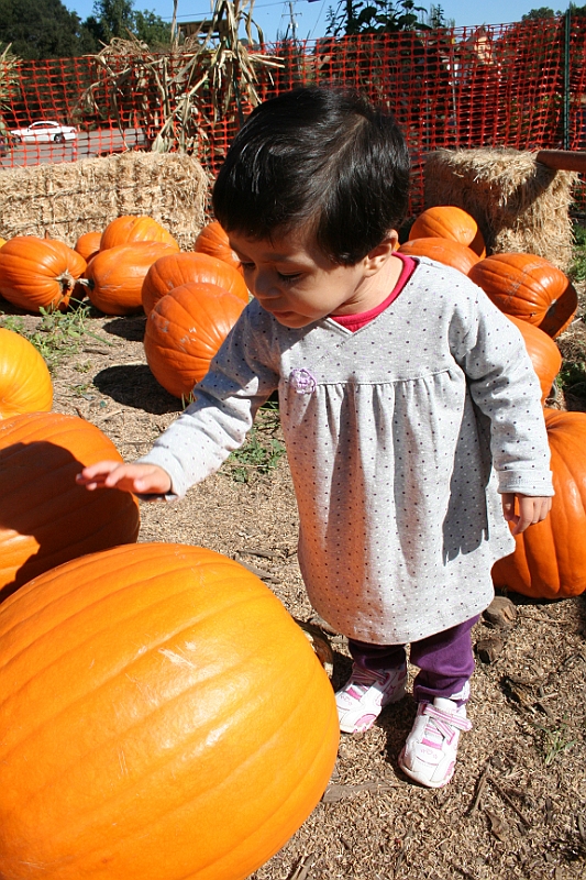 08-10-06-104314.JPG