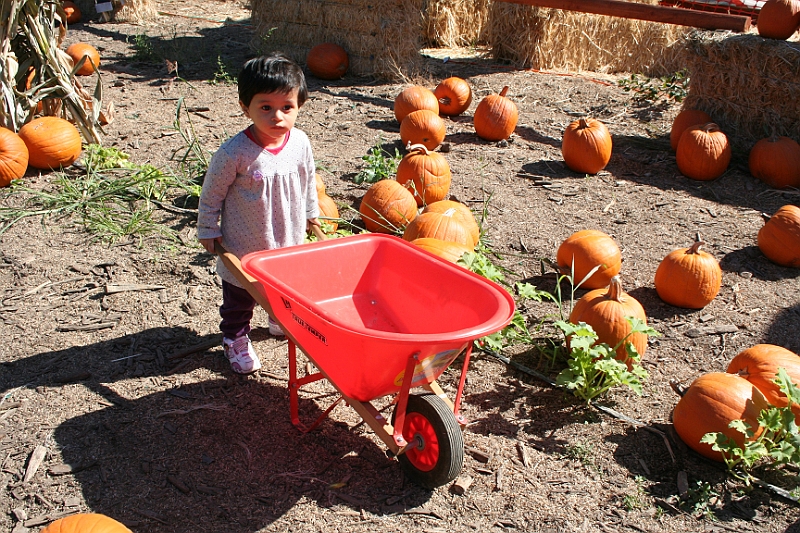 08-10-06-104754.JPG
