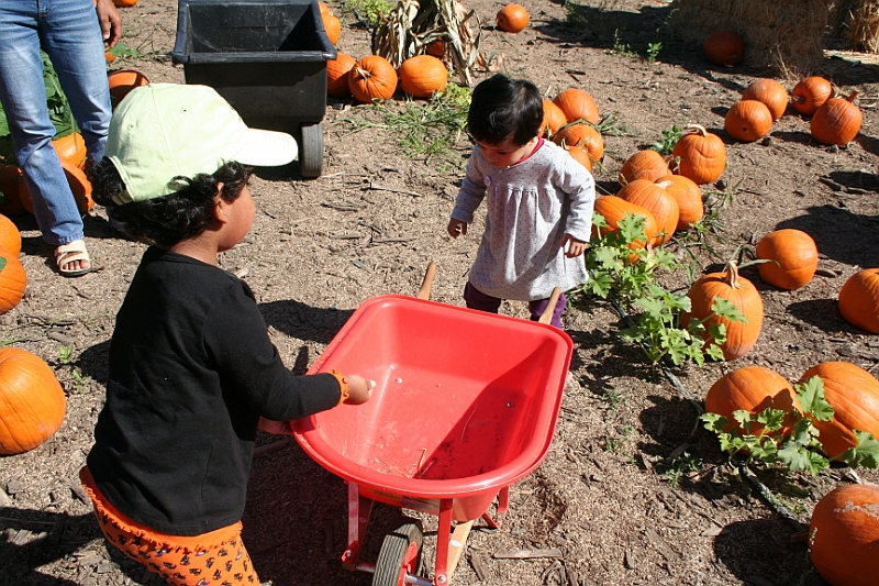 08-10-06-105002.JPG