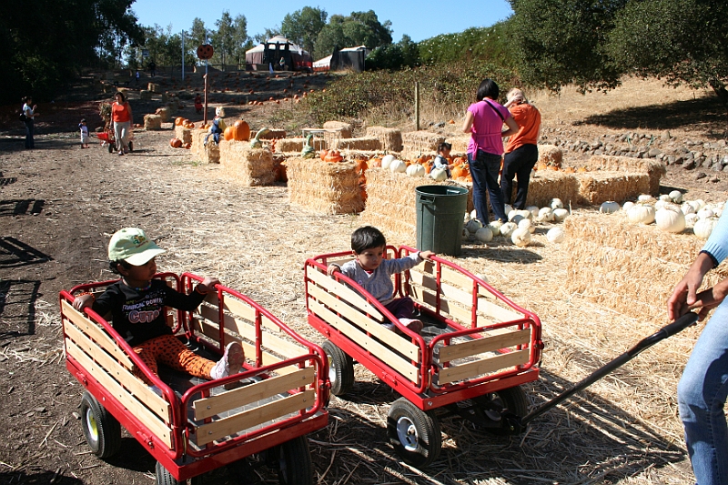 08-10-06-105545.JPG