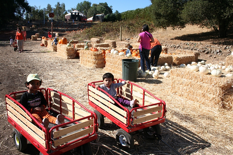 08-10-06-105549.JPG