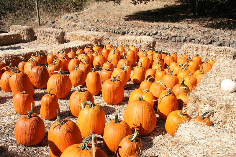 08-10-06-105655.JPG