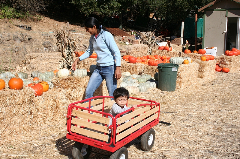 08-10-06-105730.JPG