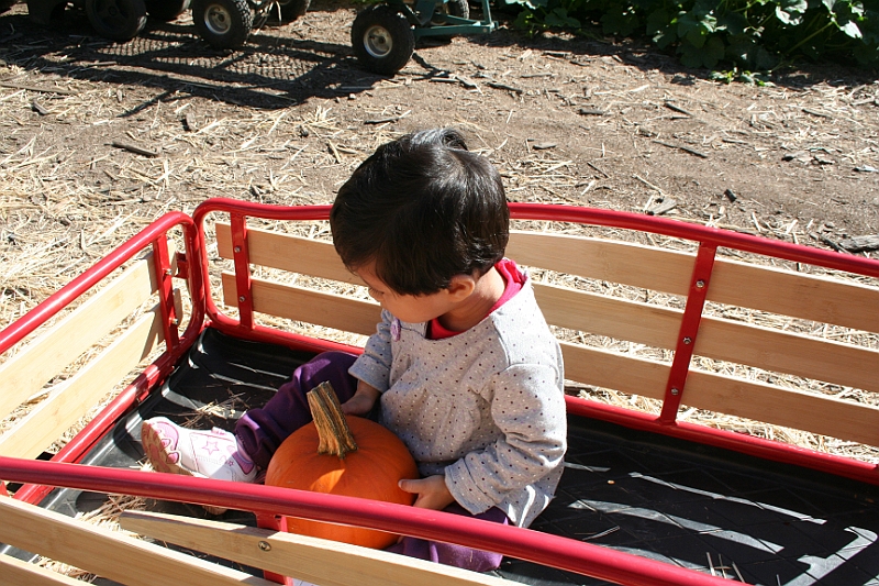 08-10-06-105826.JPG