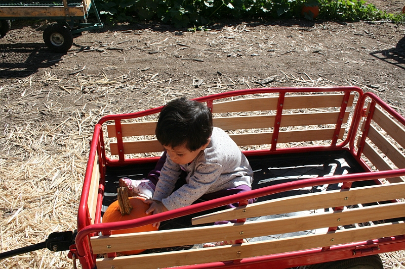 08-10-06-105830.JPG