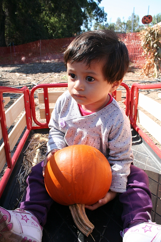 08-10-06-110108.JPG