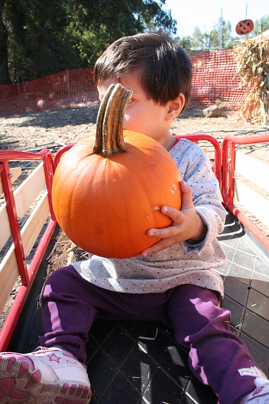 08-10-06-110114.JPG
