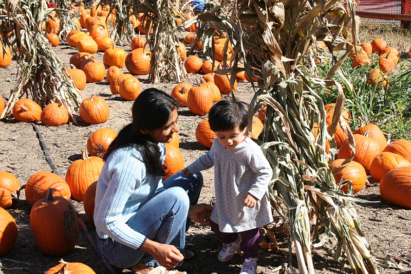 08-10-06-110946.JPG