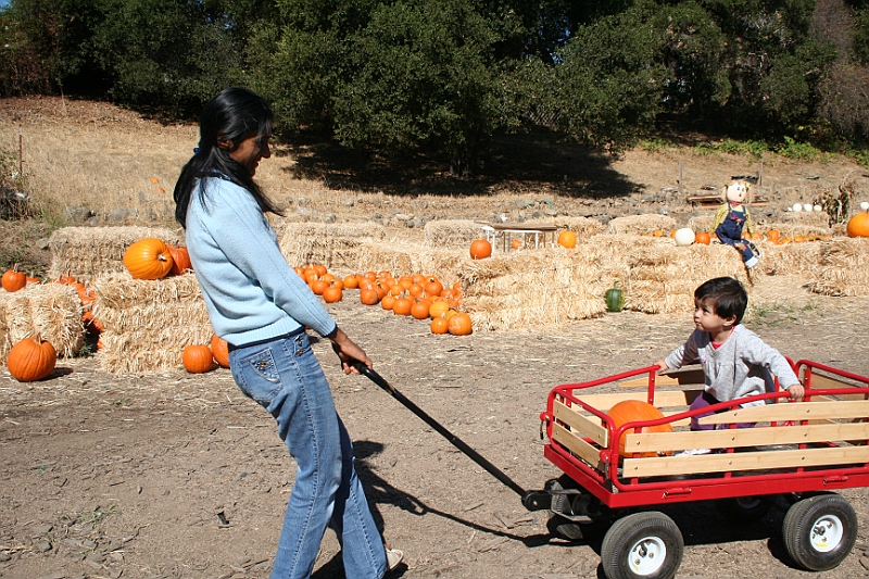 08-10-06-111713.JPG