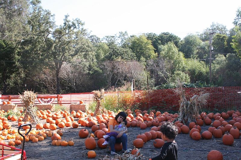 08-10-06-112434.JPG