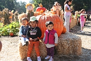 08-10-06-103751