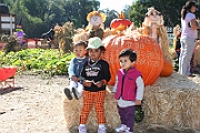 08-10-06-103757