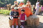 08-10-06-103801