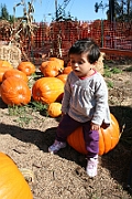 08-10-06-104301