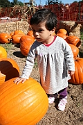 08-10-06-104316