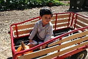 08-10-06-105836