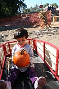 08-10-06-110102