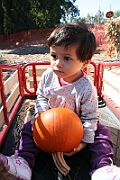 08-10-06-110108