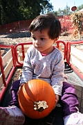 08-10-06-110112