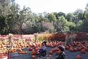 08-10-06-112434