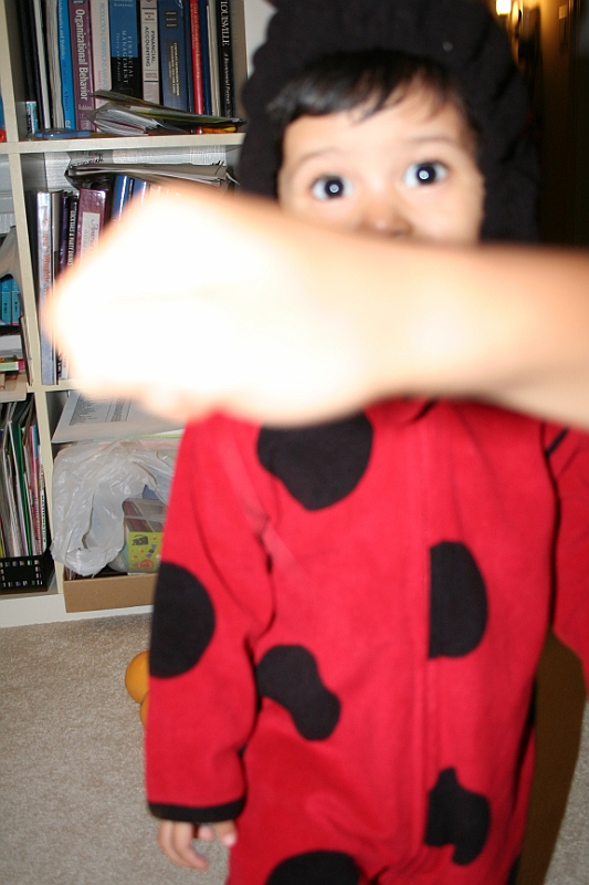 08-10-14-200731.JPG