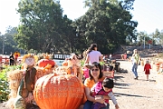 Webb Ranch Farm Pumpkin Patch
